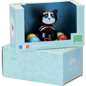 Minou le chat à trainer