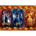 Puzzle 500 pièces - Harry Potter - Hogwart Memories