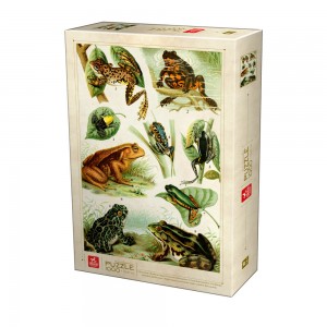 Grenouilles -  Puzzle 1000 pièces