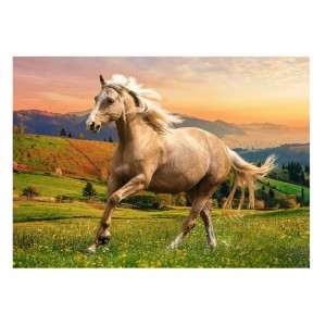Galop sous le soleil d'après-midi - Puzzle 500 pièces