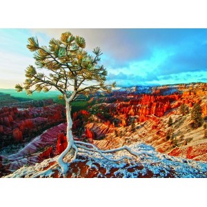 Lever de Soleil Hivernal -  Puzzle 1000 pièces