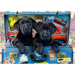 Chiens en valise -  Puzzle 1000 pièces