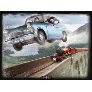 Puzzle 3D Harry Potter - Voiture volante
