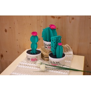 Paper plants - Cactus