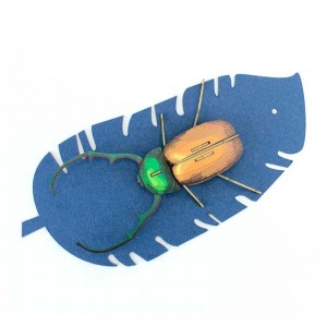 Insecte - Calingratus - Carton