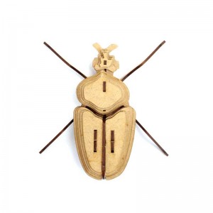 Insecte - Globulus giganticus - Bois