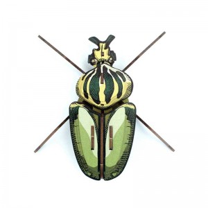Insecte - Globulus giganticus - Carton