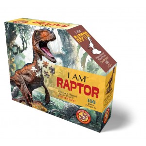 Raptor - 100 pièces grand format et sans contours Raptor - 100 pièces grand format et sans contours