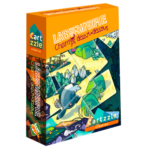 Cartzzle Labyrinthe Champs dessus dessous