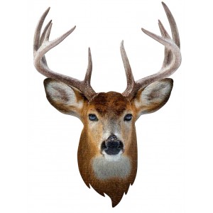 Puzzle Cerf 300 pièces