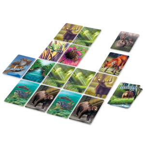 Ecosysteme - Fôret Ecosysteme - Fôret