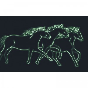 Boite à Bijoux Musicale Phosphorescente Cheval Camargue Boite à Bijoux Musicale Phosphorescente Cheval Camargue