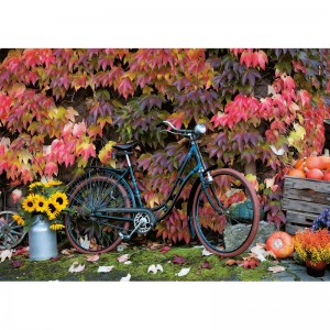 Automne - Puzzle 1000 pièces Automne - Puzzle 1000 pièces