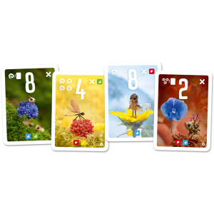 Pixies : Flower Power Pixies : Flower Power